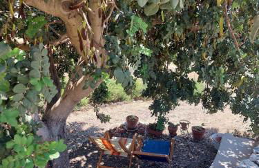 Casa Palombara - Healiday in Torre Salsa - Foto 60