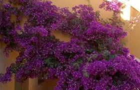 casa dalle 4 grandi terrazze - Photo 25