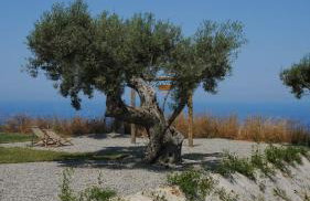 JATU Retreat - Photo 49