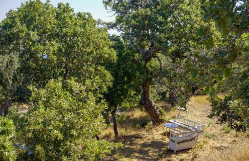 My Old Stone House in a 2 000 sqm private garden with Fab Glamping Tent - Photo 43