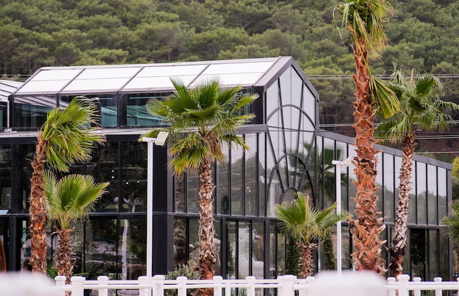 Asha Country - Foto 4