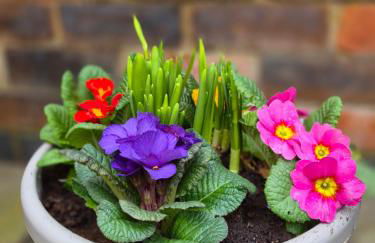 Stylish Little Bowden Retreat - Market Harborough - Foto 40