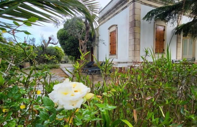 Agriturismo Villa Coluccia - Foto 63