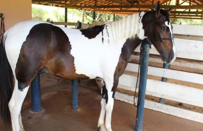 Engenho da Serra Hotel & Ecoresort - Foto 70