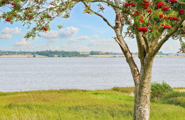 5 Person Holiday Home in Jaegerspris - Foto 19