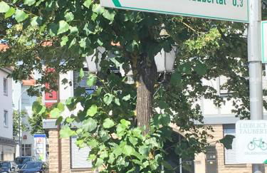 Moserhof-Apartments - Foto 62