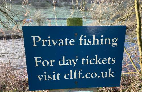 River View - Photo 21