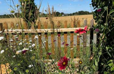 Cosy Flint Cottage - Photo 21