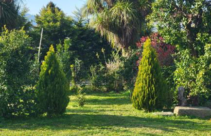 Villa Cornelia, Ponte de Lima - Foto 72