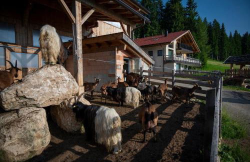 Biohof Oberwerkstatt HAIDI - Foto 12