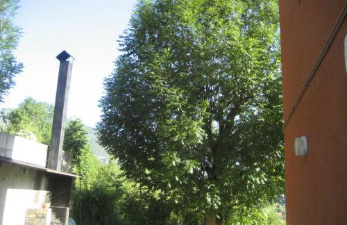 La Faiada - Photo 22