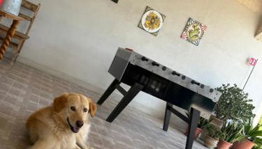 Piccolo Podere - Foto 5