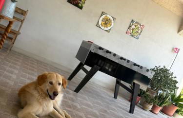 Piccolo Podere - Foto 5