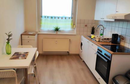 ZV38-Mammut-2 - Foto 5