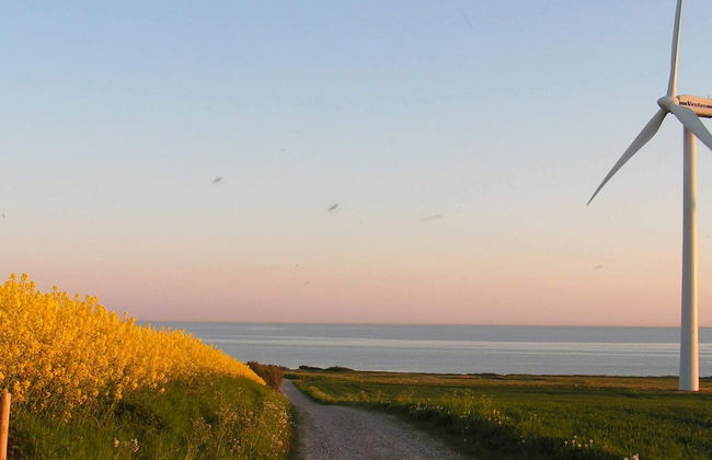 4 Person Holiday Home in Aeroskobing-by Traum - Foto 20