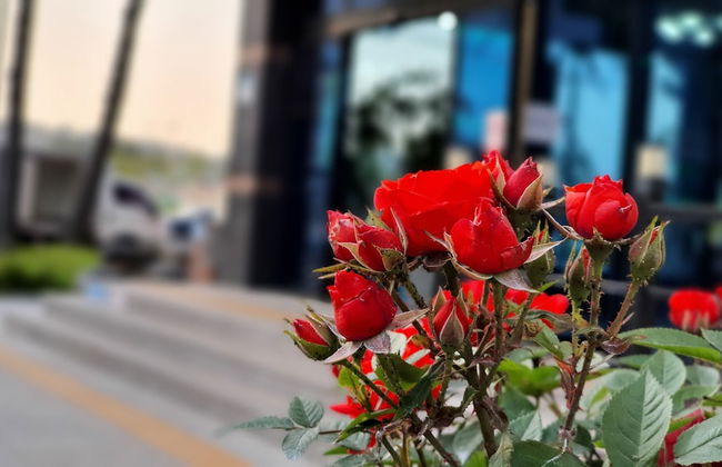 Haha Pension - Foto 63