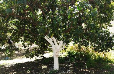 Nikitas Apartment - Foto 7