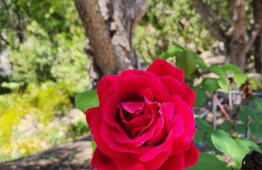 The most breathtaking Lake and Mountain View - Foto 70