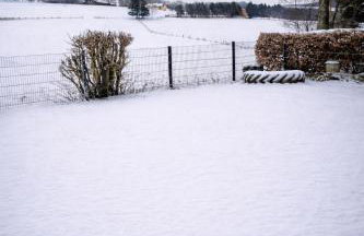 Eifel Panorama Appartement - Foto 2