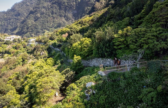 Mar Yam Garden by Atlantic Holiday - Foto 30