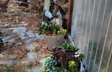 La Casa Sirena - Foto 29