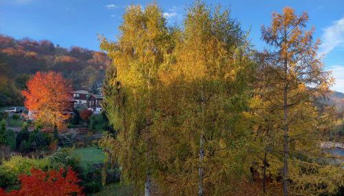 Apartment mit Herz - Foto 2