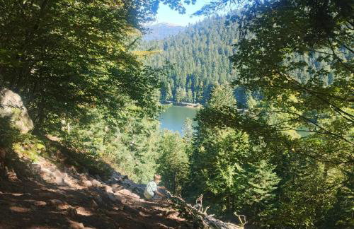 Chalet Bois le Havre du sotrè Gérardmer Sauna panoramique jacuzzi 14 personnes et 1 bébé - Photo 74