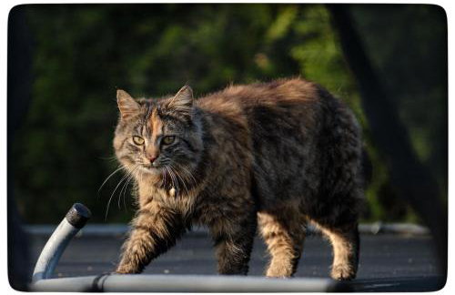 Apartament Hortensjowy Zakątek - Foto 55