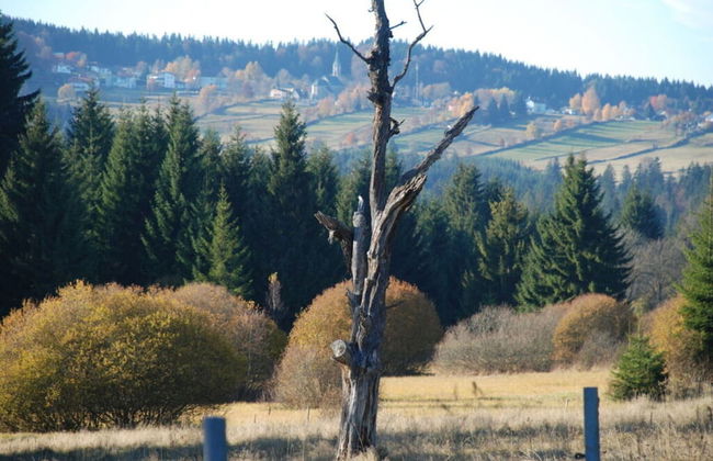 Attractive Apartment in Haidmuhle - Foto 24