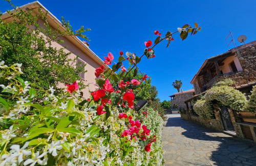 La flabellina blu - Foto 21