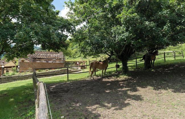 Locanda Di Alberi - Foto 36