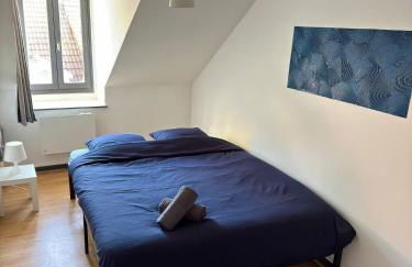 Cosy 4 - Montbéliard centre 80m2 - Foto 22