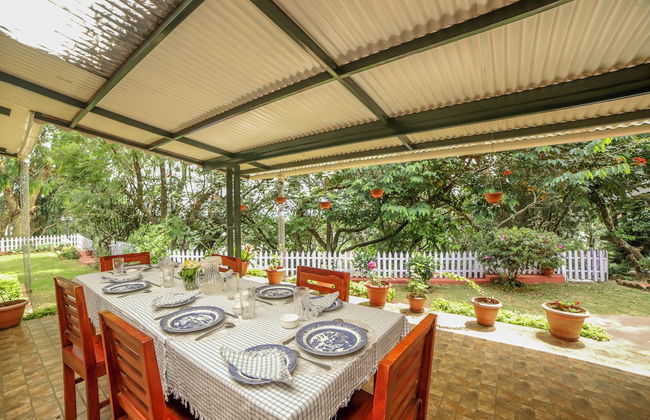 Rayne Forest - Foto 13