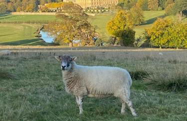 Two Ways - Edge of Peak District near Matlock - Foto 24