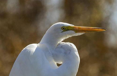 Mag Beach Refuge - Bayfront - Foto 24