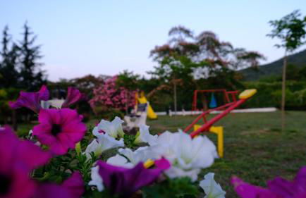 Casa Alegria - Photo 21