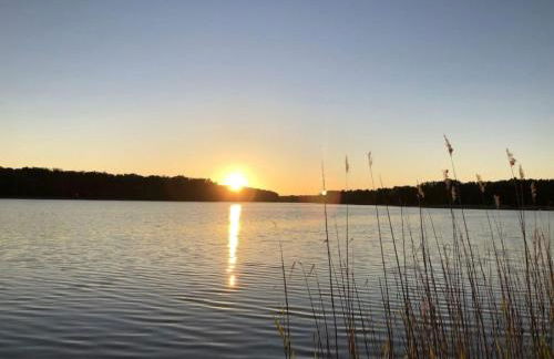 Holiday Home Reetdach Ferienhaus am Lübbesee Sauna Bootsteg neu by Interhome - Photo 2