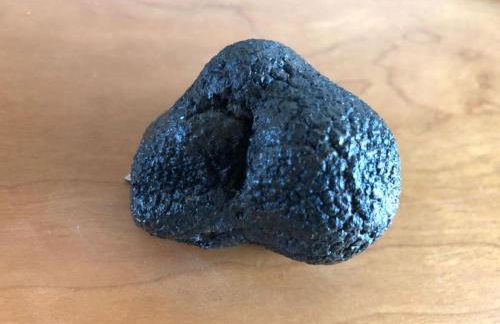 La Casa di Smilla - (Bevagna) - Photo 21