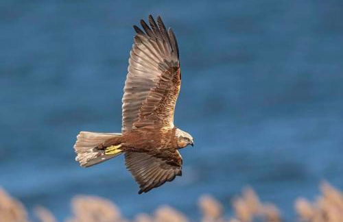 19 Antico Granaio - Foto 43