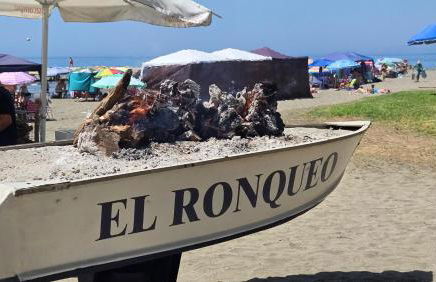 Munilla Family Beach by Del Parque Flats - Photo 48