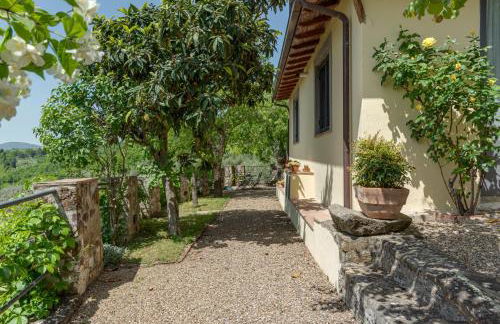 Agriturismo Fattoio alle Ripe - Foto 39