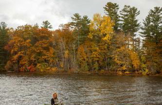 Little Landing Cottage-gorgeous View BBQ Wi-fi - Foto 72