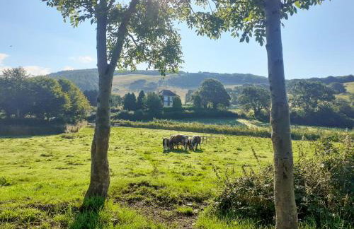 Tyllwyd Farmhouse - Foto 27