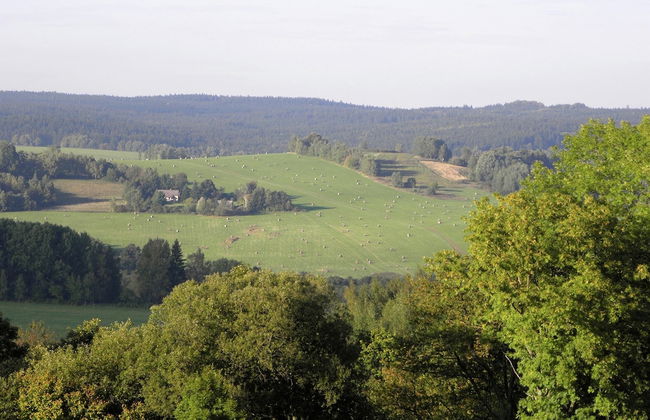 Holiday House Near Forest in Obora - Foto 18