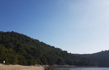 Apartments Villa Hansal - Photo 17