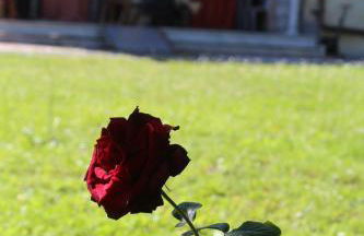 Casolare De Ranieri - appartamento in villa bifamiliare a 500m dal mare - Foto 19