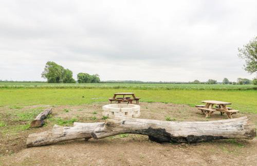 Woodpecker - Foto 22