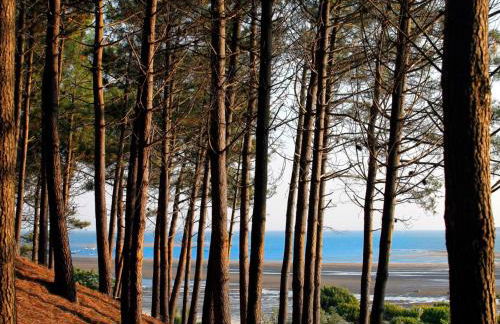 Arcachon Centre - T2 Confortable avec Balcon et Parking Privé - FR-1-420-156 - Foto 12