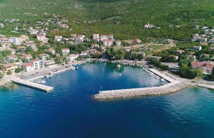 Dream In Green - Foto 37