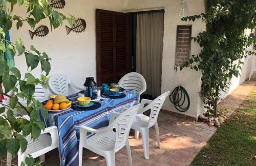 Amazing Algarve - Albufeira - Foto 5